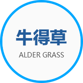 夢想軟件Logo